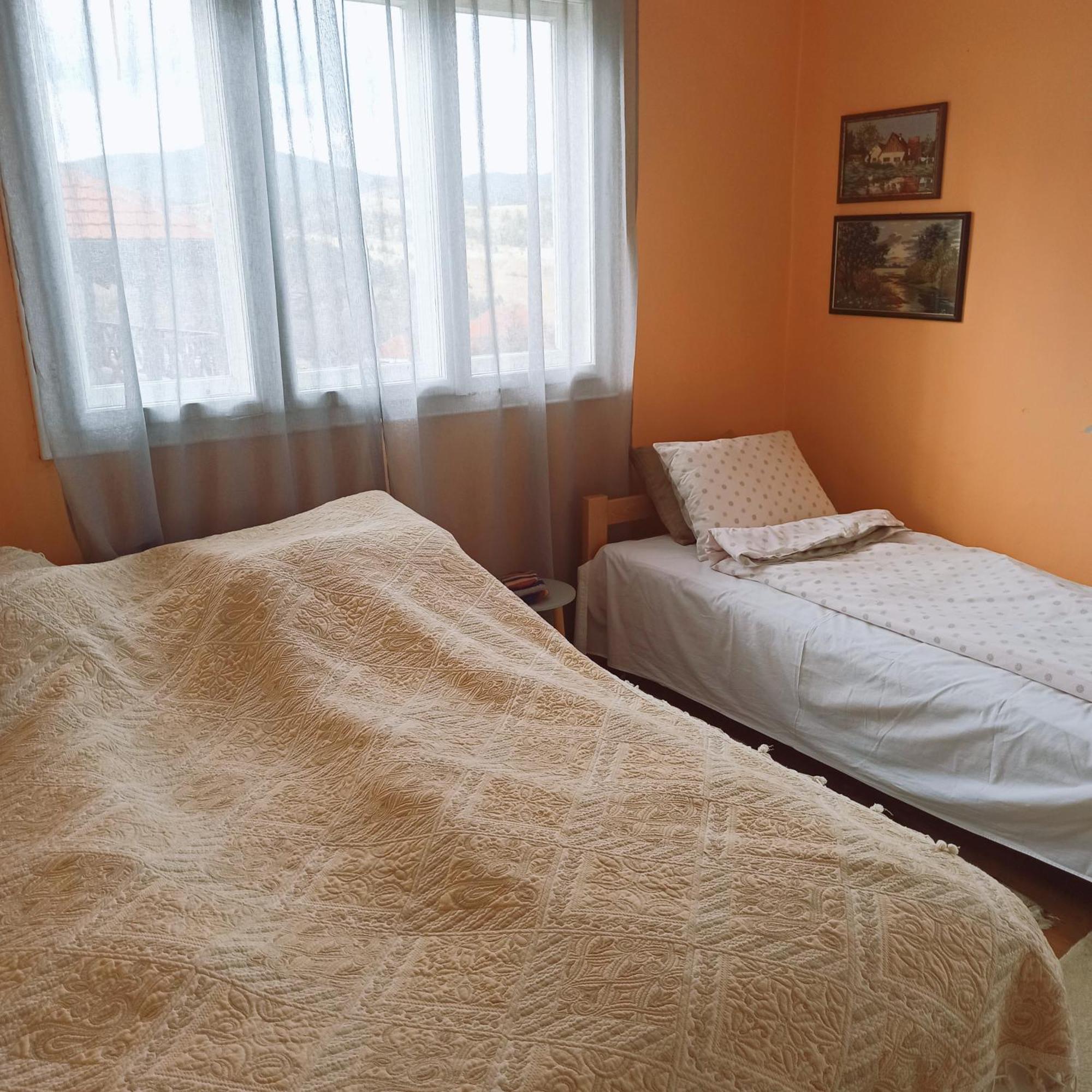 Kuca Despot Apartment Kremna Room photo